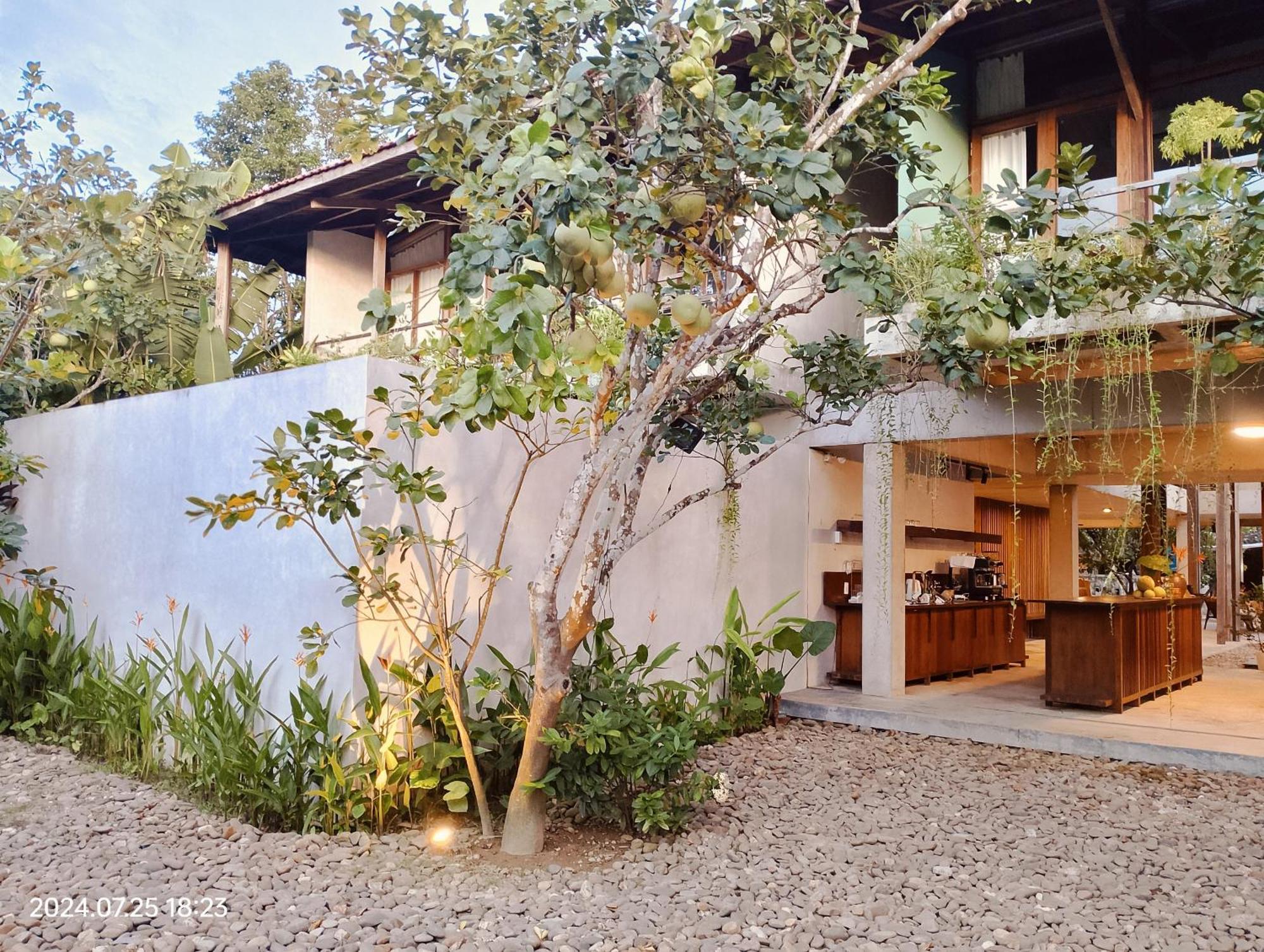 Hachi Homestay & Spa Huế Ngoại thất bức ảnh